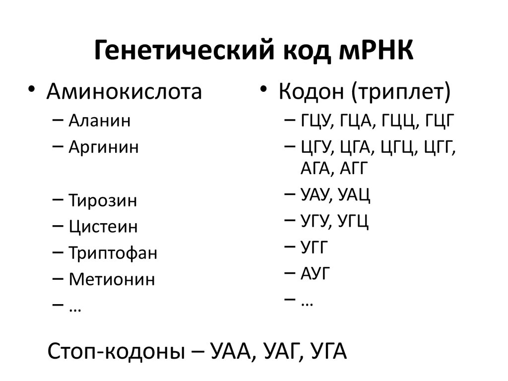 Гца аминокислота. Триплет аланина. Метионин генетический код. ГЦУ аминокислота. Триплеты аминокислот.