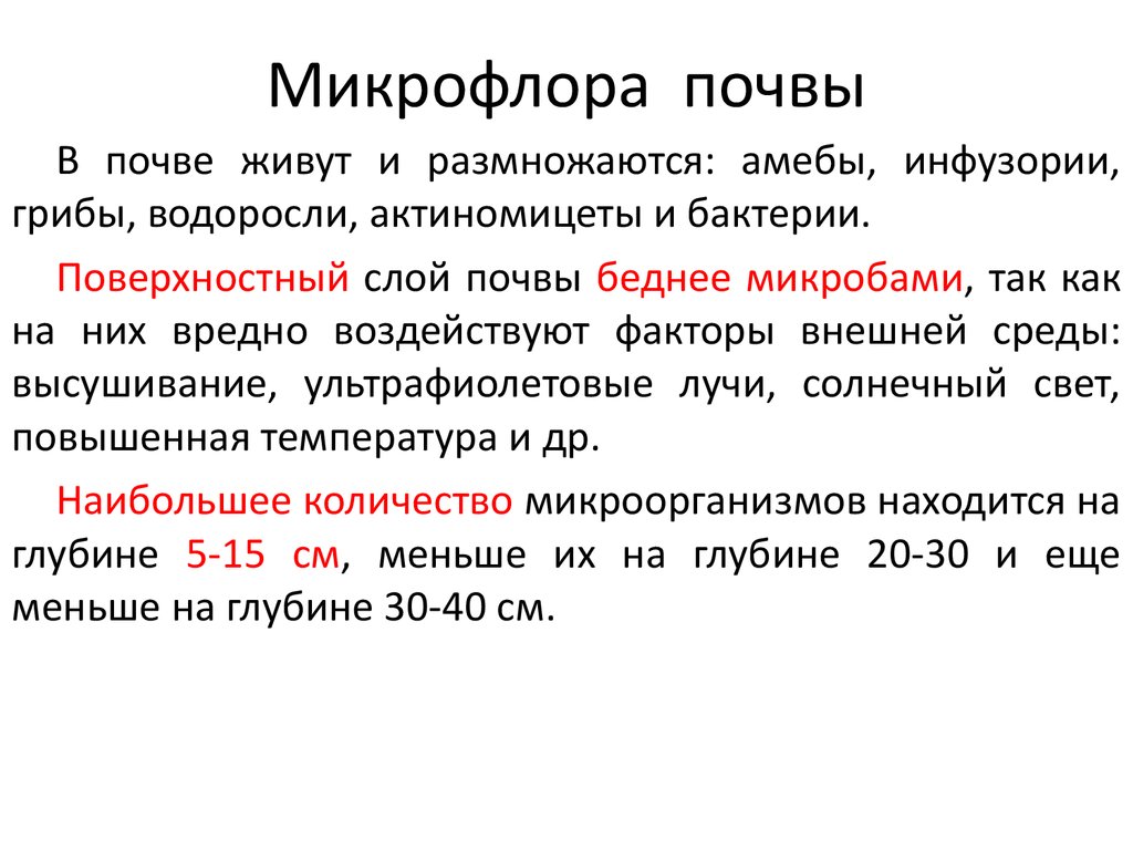 Микрофлора почвы микробиология. Каков состав микрофлоры почвы. Каков состав микрофлоры почвы кратко. Краткая характеристика микрофлоры почвы.