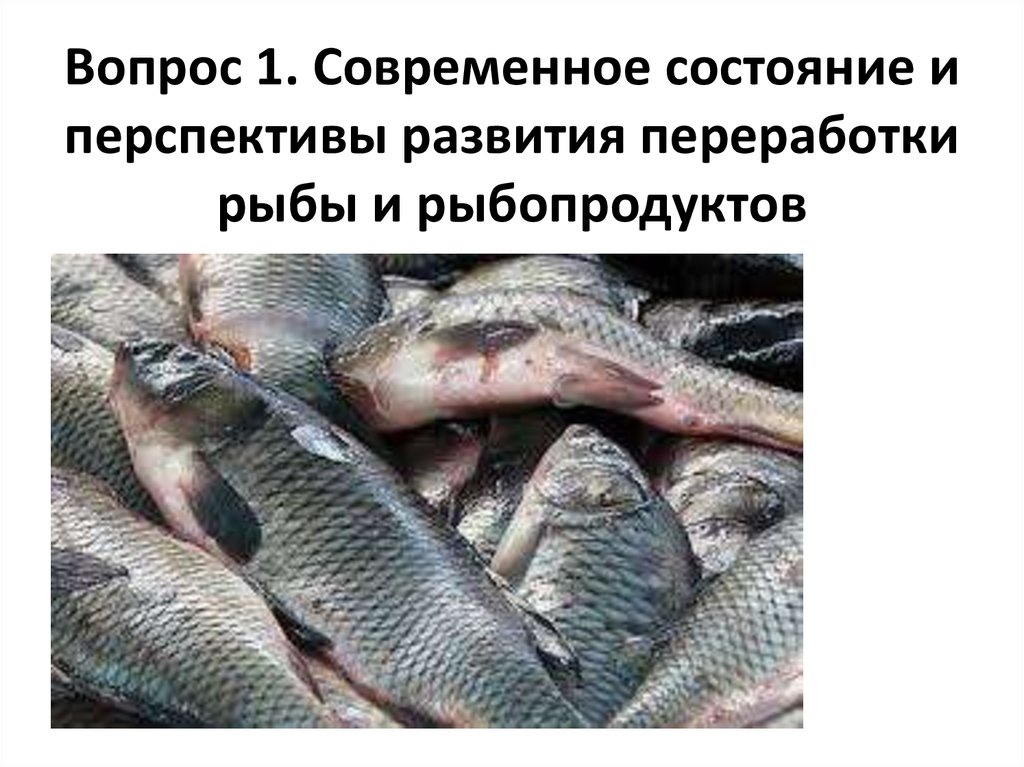 Курсовая работа: Переработка рыбы и рыбопродуктов