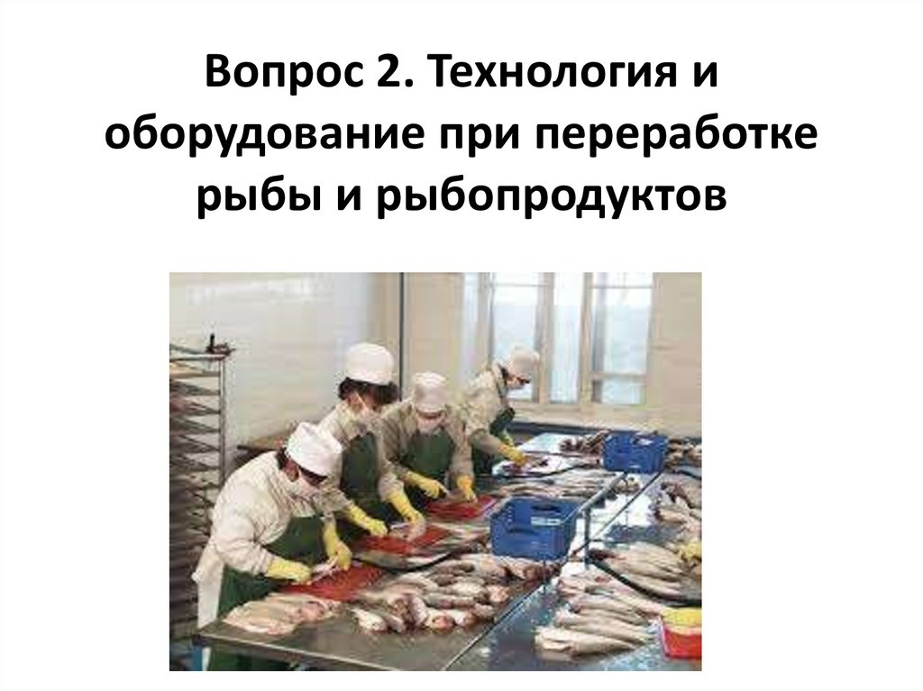Курсовая работа: Переработка рыбы и рыбопродуктов