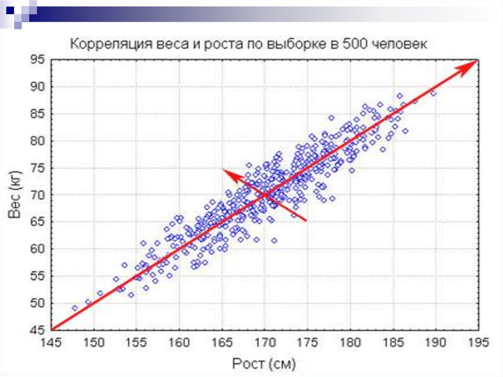 Выборка рост человека