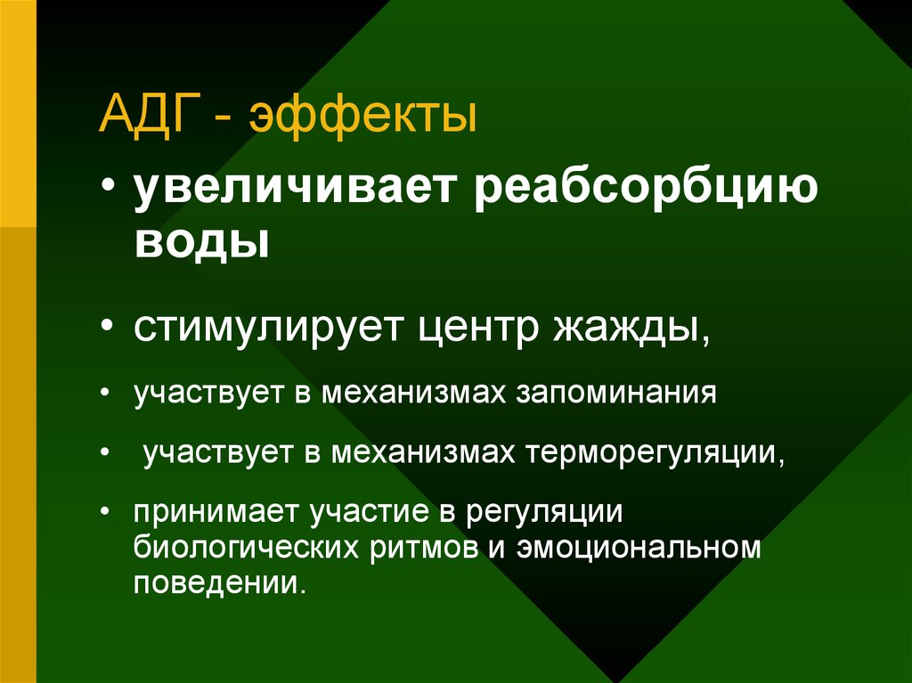 Объект обмена. Регуляция биологических ритмов. Эффекты АДГ активация центров жажды. АДГ увеличивает реабсорбцию воды. В регуляции биологических ритмов в организме участвуют:.