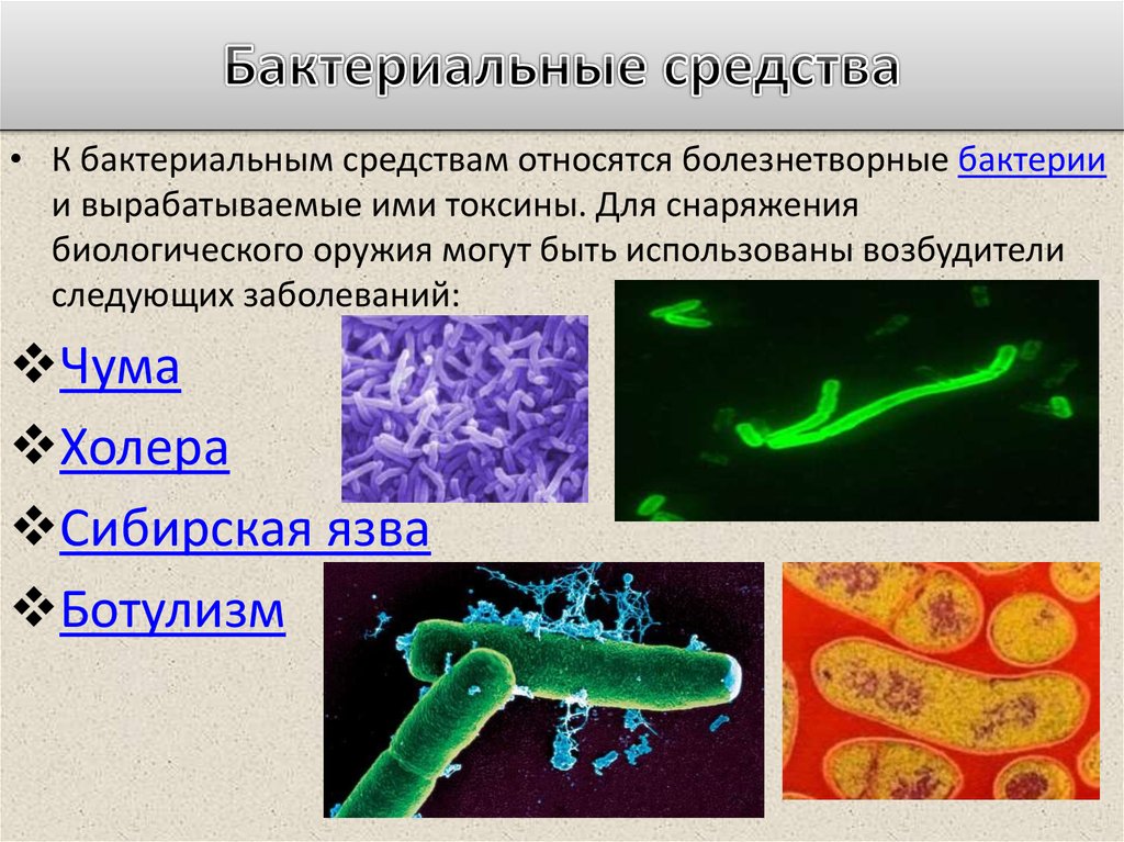 Болезнетворные бактерии презентация