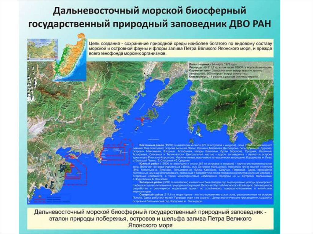 Дальневосточная карта. Дальневосточный морской заповедник расположение на карте. Дальневосточный морской заповедник на карте дальнего Востока. Дальневосточный морской биосферный заповедник на карте. Залив Петра Великого Приморский край.