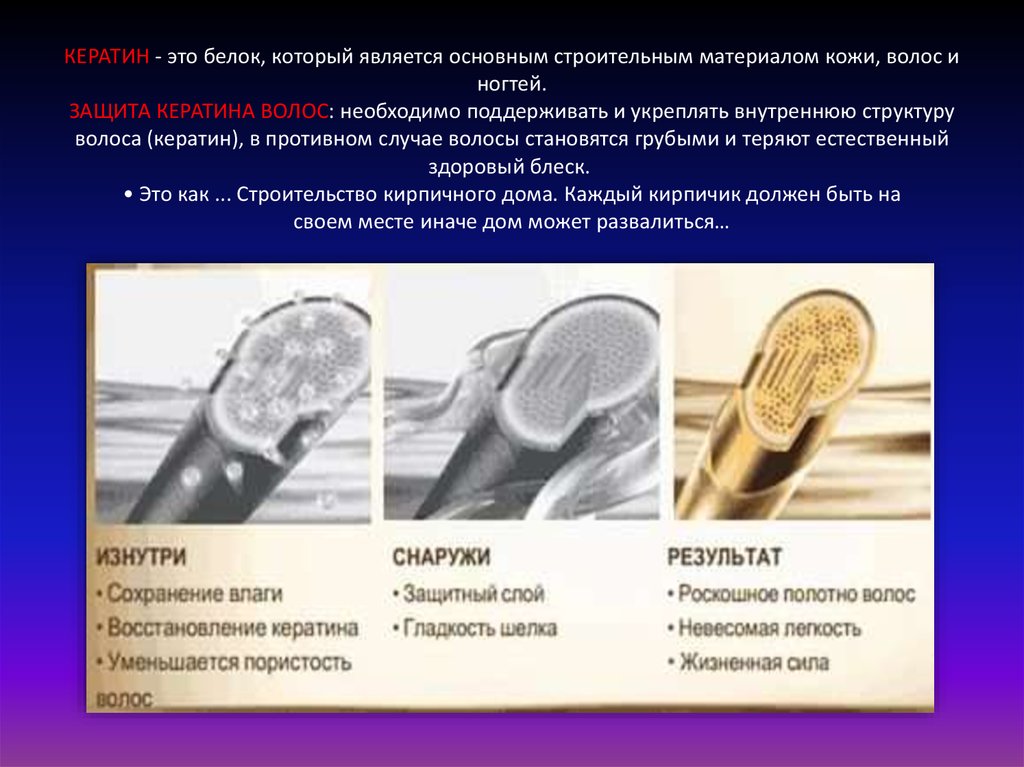Процесс Кератинизации. Морфология процесса кератинизации - презентация ...