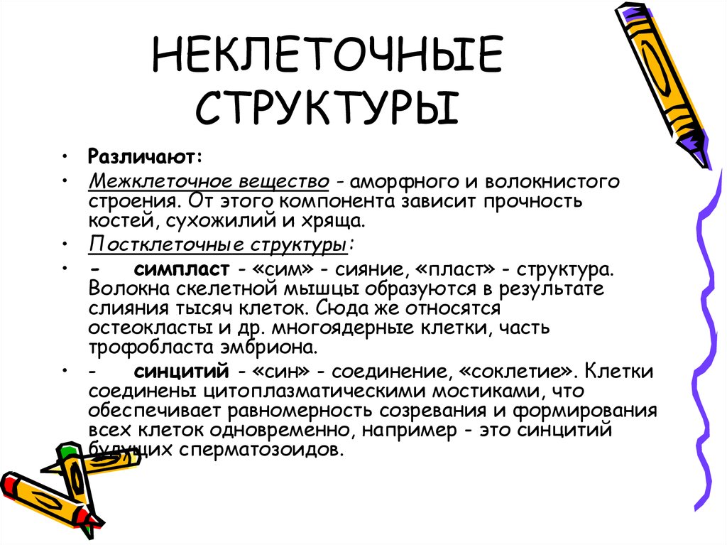 Виды неклеточных структур. Неклеточные структуры гистология. Неклеточные структуры тканей. Перечислите неклеточные структуры, их строение.