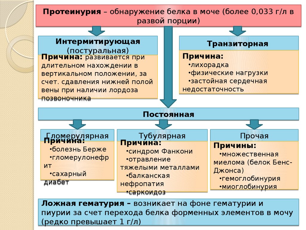 Семиотика и симптоматология урологических заболеваний презентация