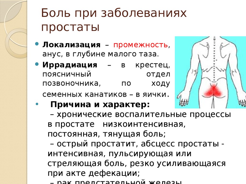 Паховая боль. Локализация боли при заболеваниях. Иррадиации боли в области промежности. Иррадиация боли в паховую область.