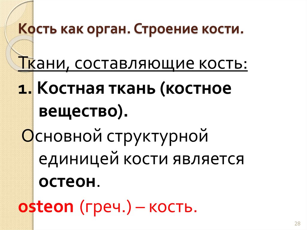 Структурной единицей кости является. Основной структурной единицей кости является. Основная структурная единица кости. Структурной единицей кости является… (Правильных вариантов – 1).