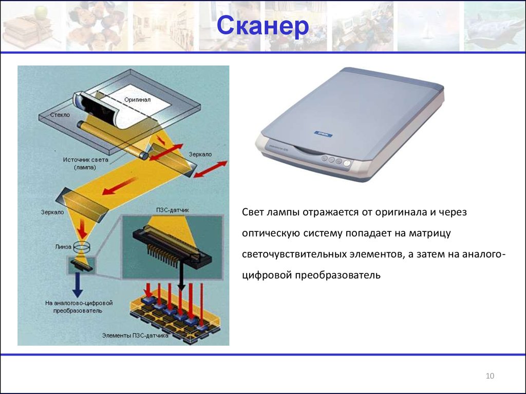 Сканер это устройство для изображения текстовой и графической информации