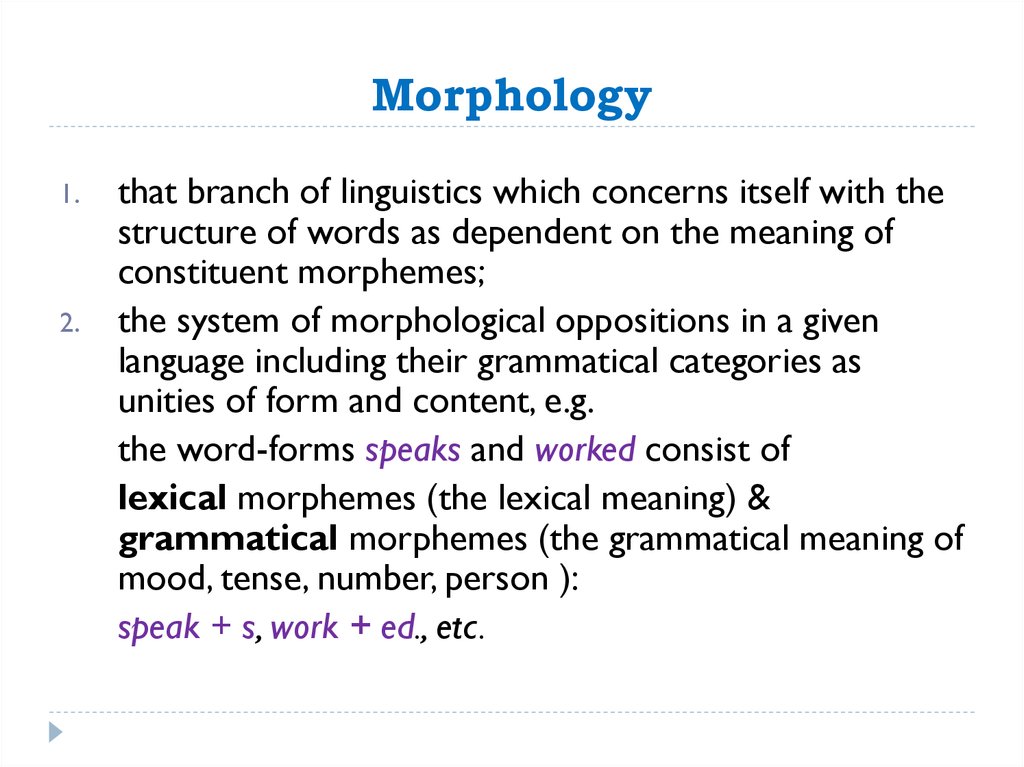 morphology definition linguistics