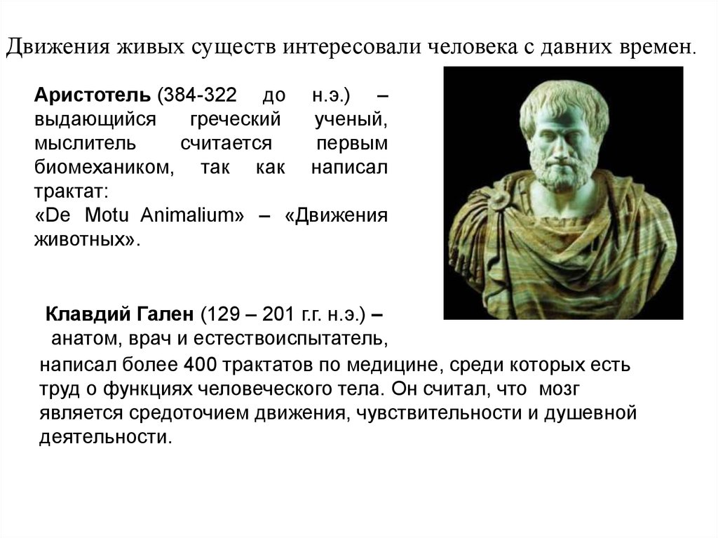 Аристотель гален. Аристотель (384-322 гг. до н.э.). Аристотель и Гален. Движение Аристотель. Аристотель биомеханика.