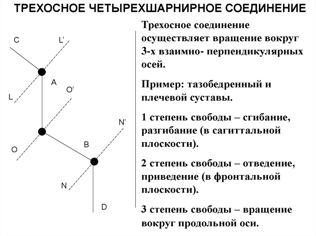 Степени свободы движения. Степени свободы суставов биомеханика. Степени свободы движений в биомеханике. Число степеней свободы биомеханика. Степени свободы суставов биофизика.