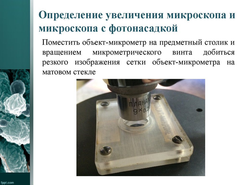 Как определить увеличение который дает световой микроскоп