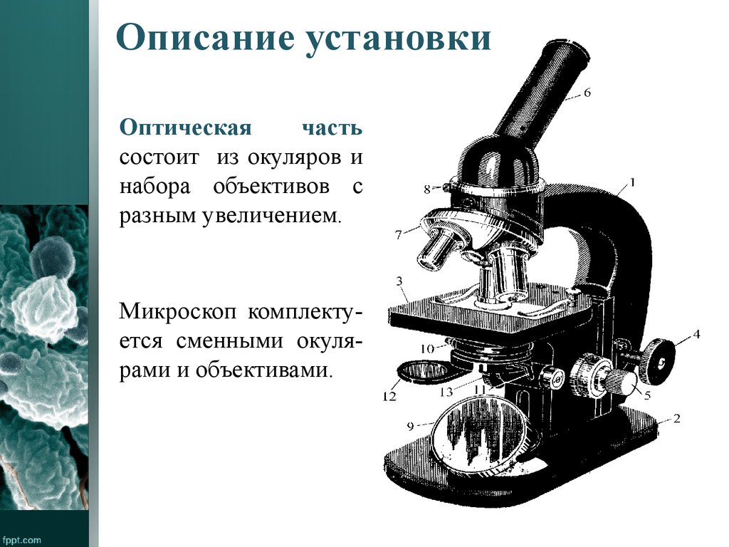 Презентация про микроскоп