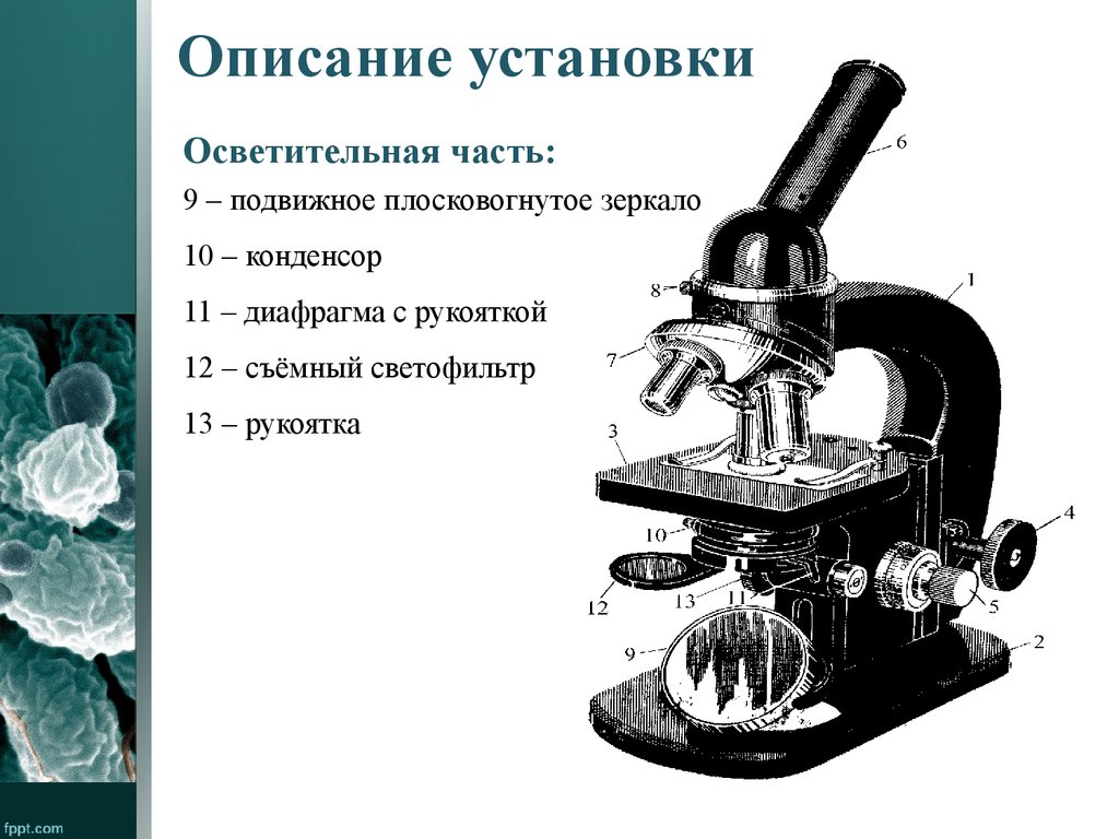 Строение микроскопа презентация