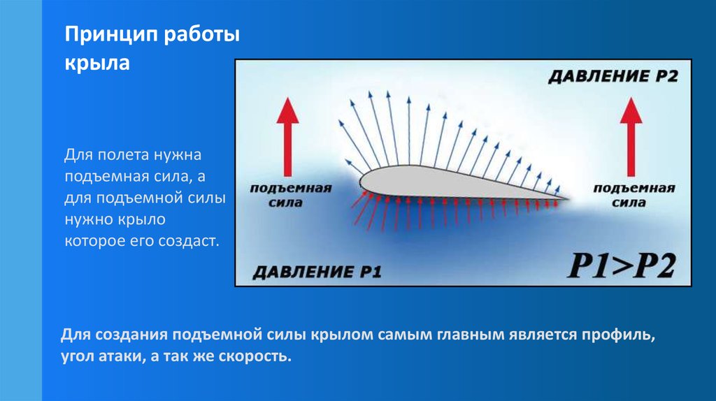 Работа крыла. Подъемная сила крыла. Принцип подъемной силы крыла. Принцип подъемной силы крыла самолета. Принцип работы крыла.