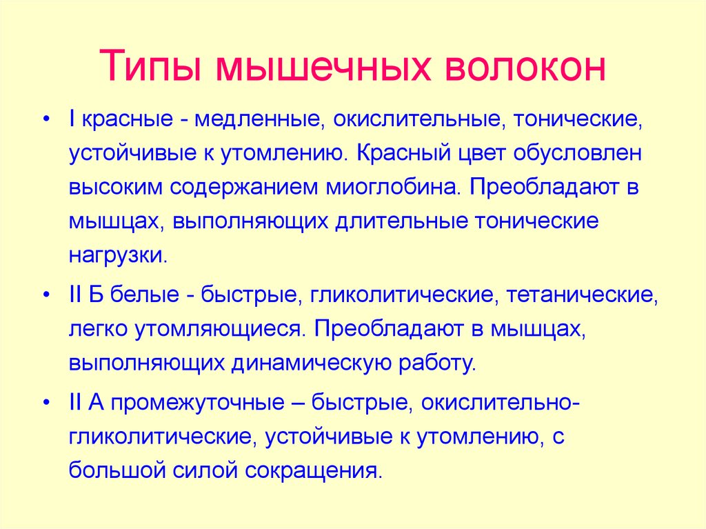 Мышечный тип. Окислительные мышечные волокна типа 2а. Характеристики мышечных волокон 1 типа. Промежуточные мышечные волокна. Характеристика второго типа (белых) мышечных волокон.