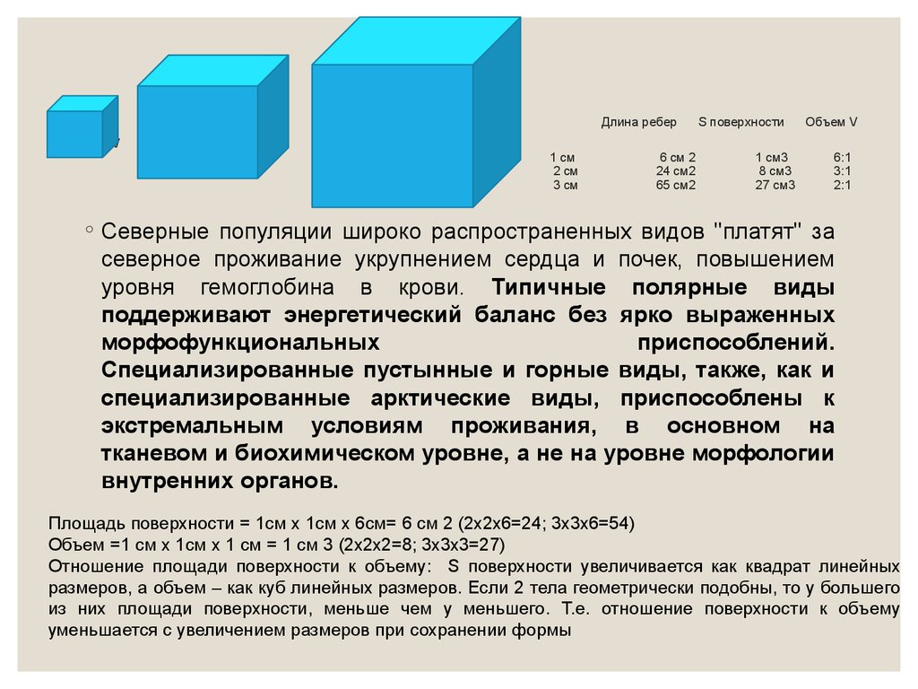 Почему объем. Отношение поверхности к объему. Отношение площади поверхности к объему. Отношение площадей и объемов. Отношение площади к объему биология.