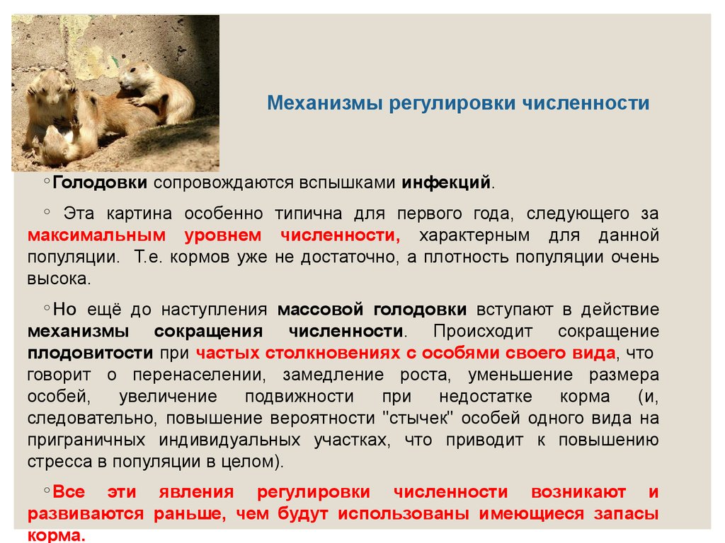 Увеличение особый. Механизмы регулирования численности популяций. Сокращение численности популяций. Какие механизмы регулируют численность популяции. Регулятор численности популяции.