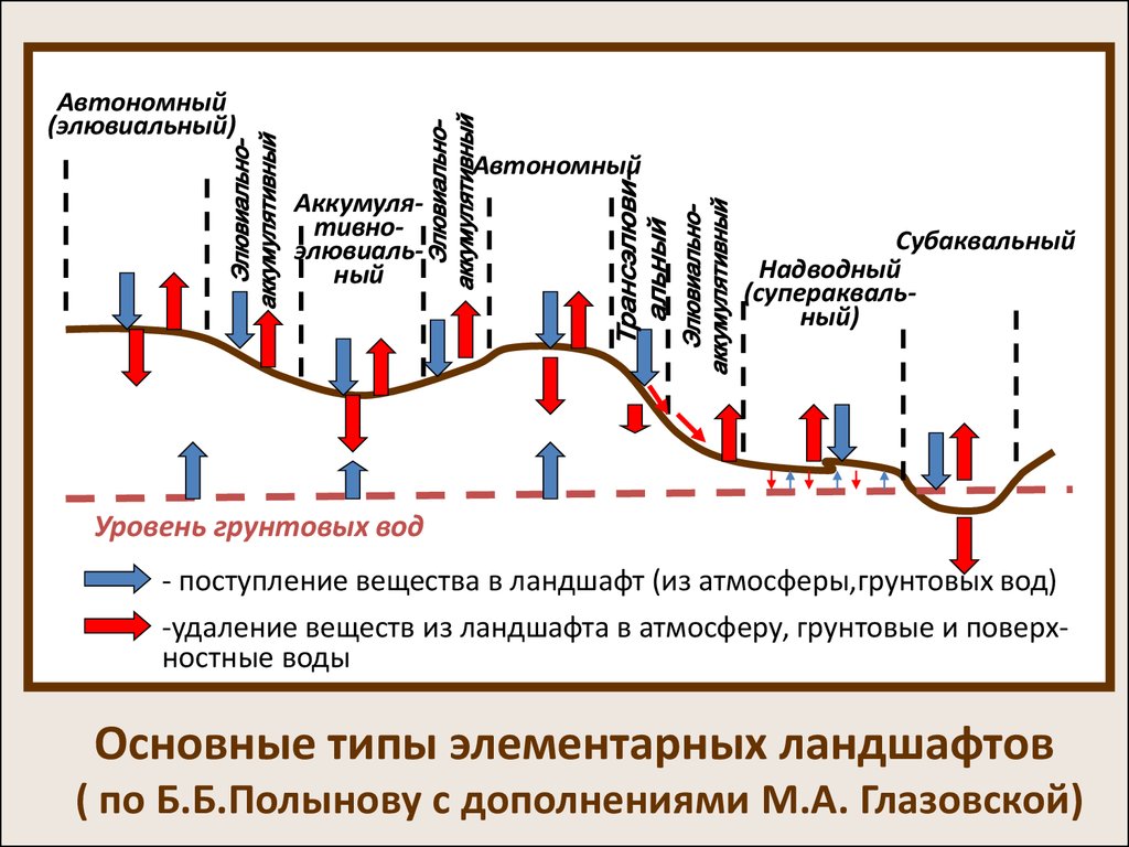 Геохимический ландшафт. Схема элементарных ландшафтов. Элювиальный ландшафт. Аквальный Тип местности. Супераквальные.