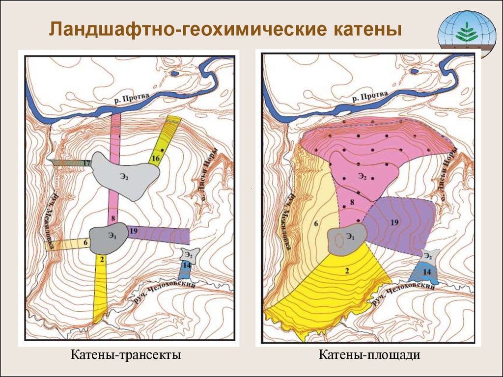 Геохимический ландшафт. Ландшафтно-геохимическая Катена. Геохимия ландшафтов. Катена геохимия. Почвенно-геохимические ландшафты.