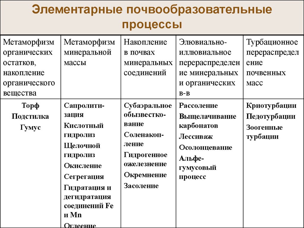 Схема почвообразовательного процесса