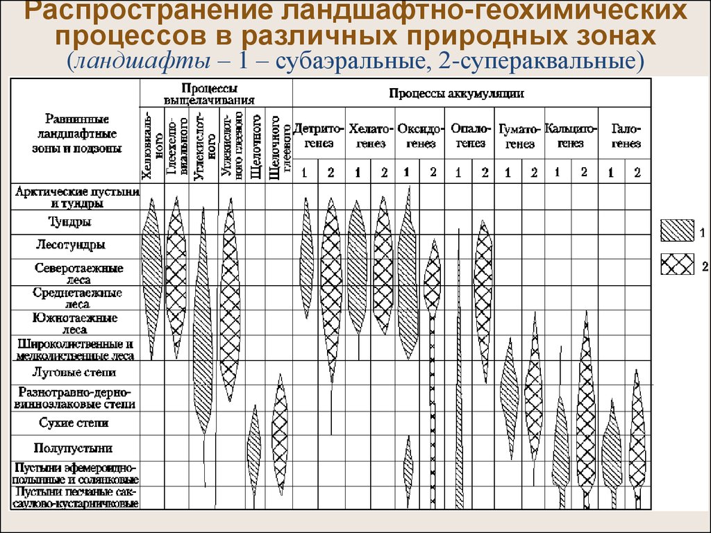 Геохимический ландшафт. Элементарный геохимический ландшафт. Геохимическая классификация ландшафтов. Геохимическая характеристика ландшафтов. Классификация элементарных геохимических ландшафтов.
