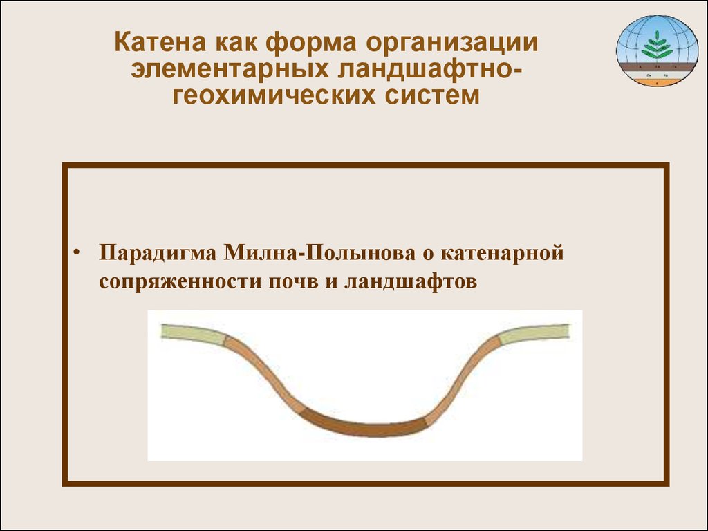 Элементарные ландшафтно-геохимические системы. Катена почв. Лист Катена. Катена части.