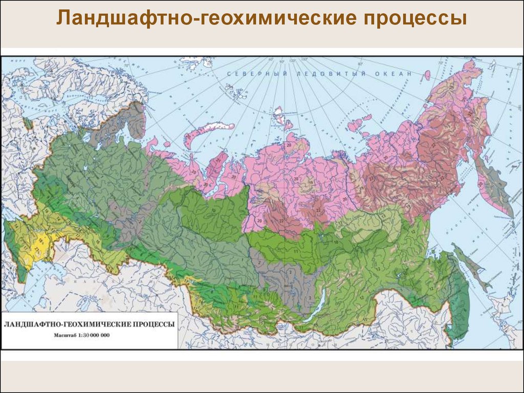 Карта ландшафта. Ландшафтно геохимические процессы. Карта геохимических ландшафтов. Ландшафтно-геохимическая карта России. Ландшафтно-геохимическое районирование.