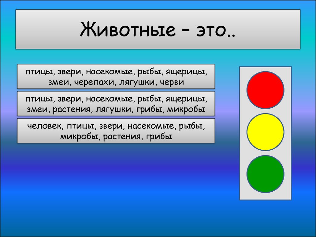 Викторина «Эти удивительные животные» - презентация онлайн