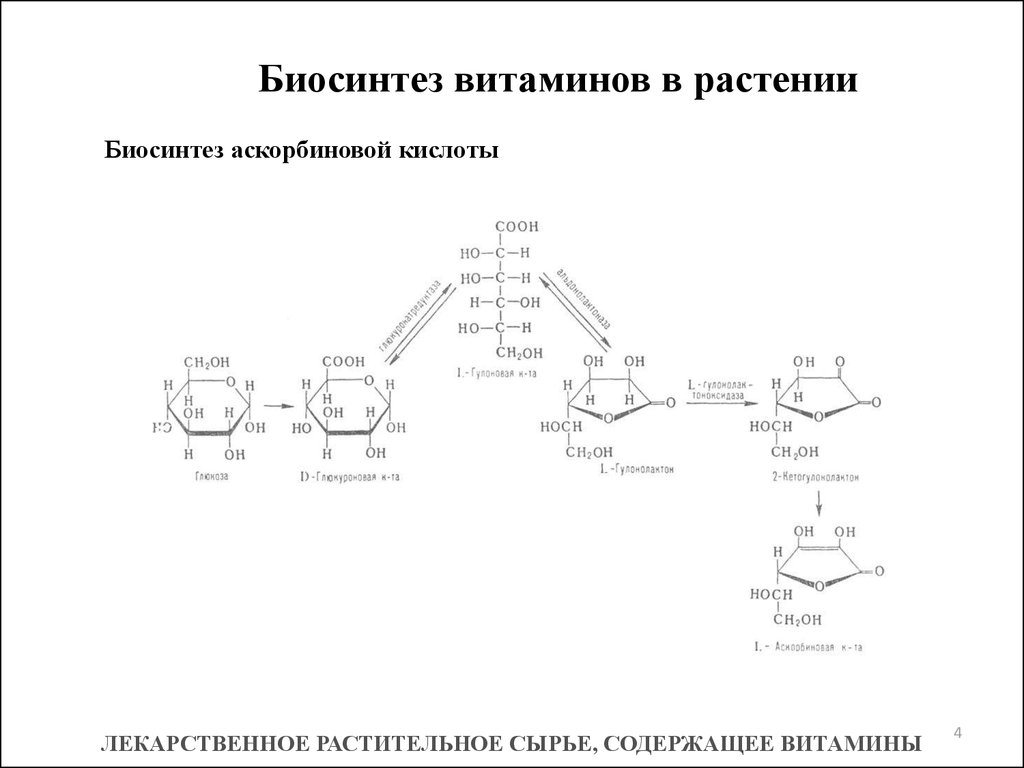 Биосинтез витаминов. Химическая схема производства аскорбиновой кислоты. Схема синтеза аскорбиновой кислоты. Путь синтеза аскорбиновой кислоты. Аскорбиновая кислота Биосинтез.