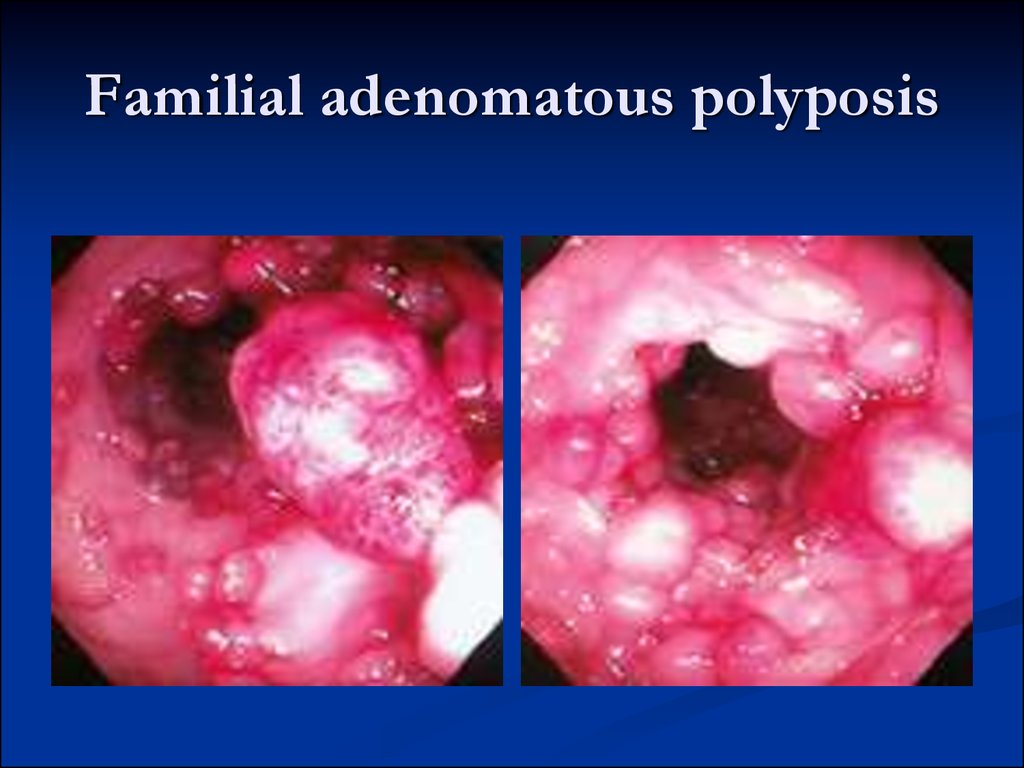 download pediatric development and neonatology a practically