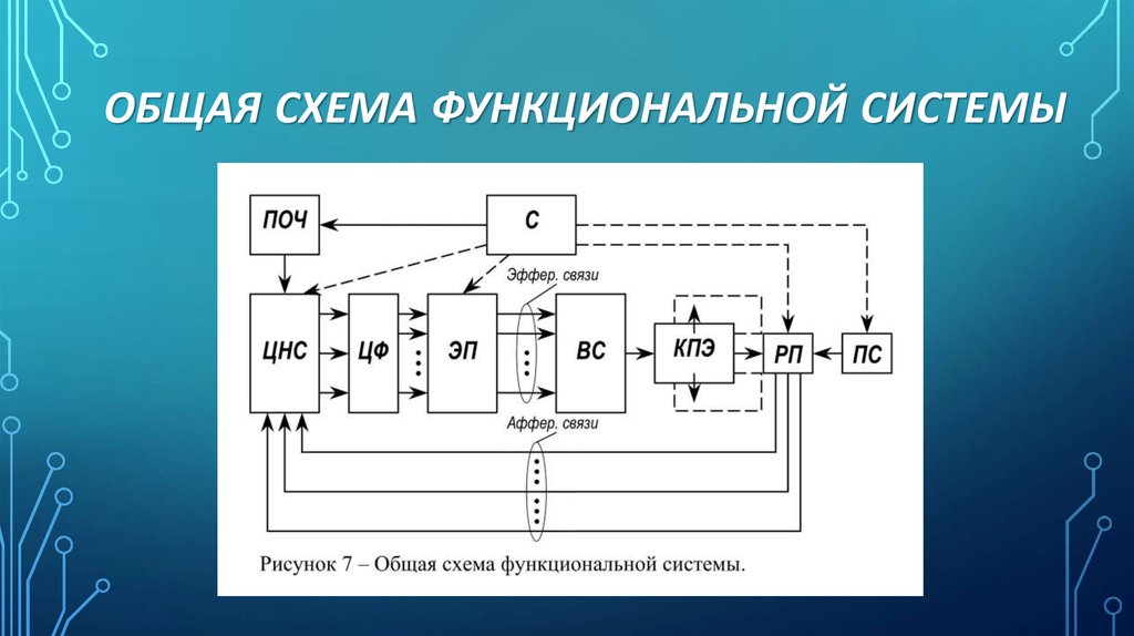 Функциональная схема отражает