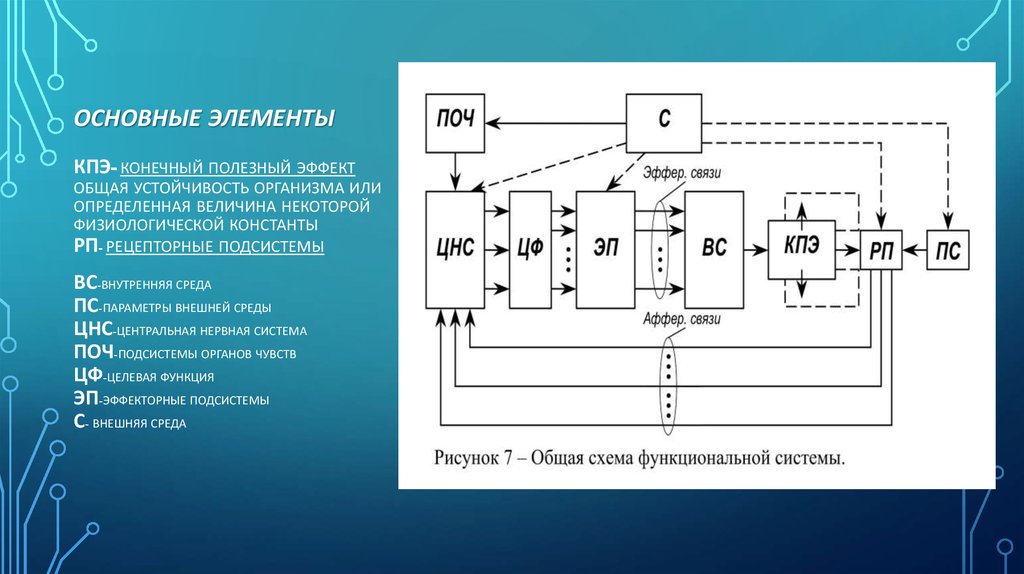 Основные элементы функциональной системы