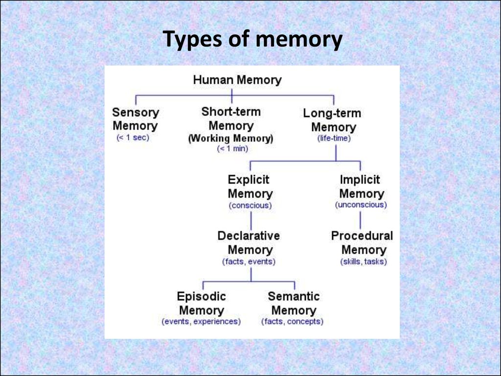 cognitive-psychic-processes