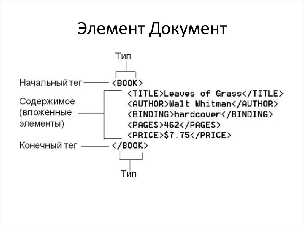 Элементы документа. Компоненты документа. XML вложенные элементы. Презентация язык XML. Содержание тега