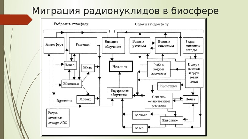 Пути миграции и накопление в биосфере токсичных и радиоактивных веществ схема