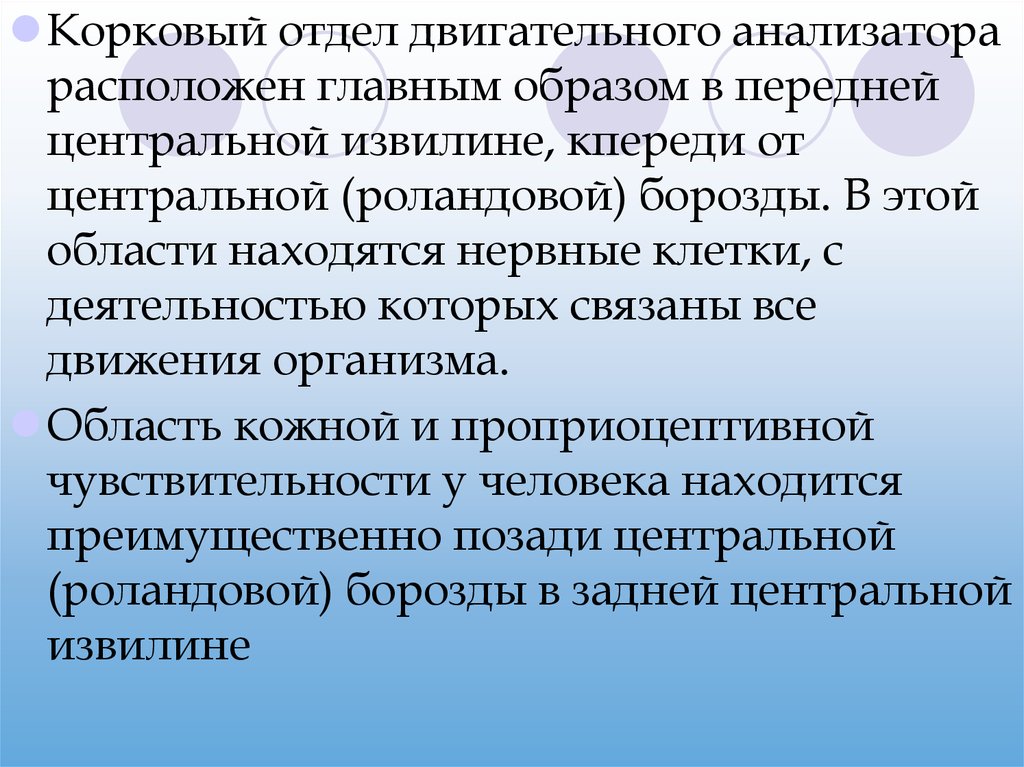 Анализатор расположен. Корковый отдел двигательного анализатора. Строение периферического отдела двигательного анализатора. Двигательный анализатор отделы. Двигательный корковый анализатор.