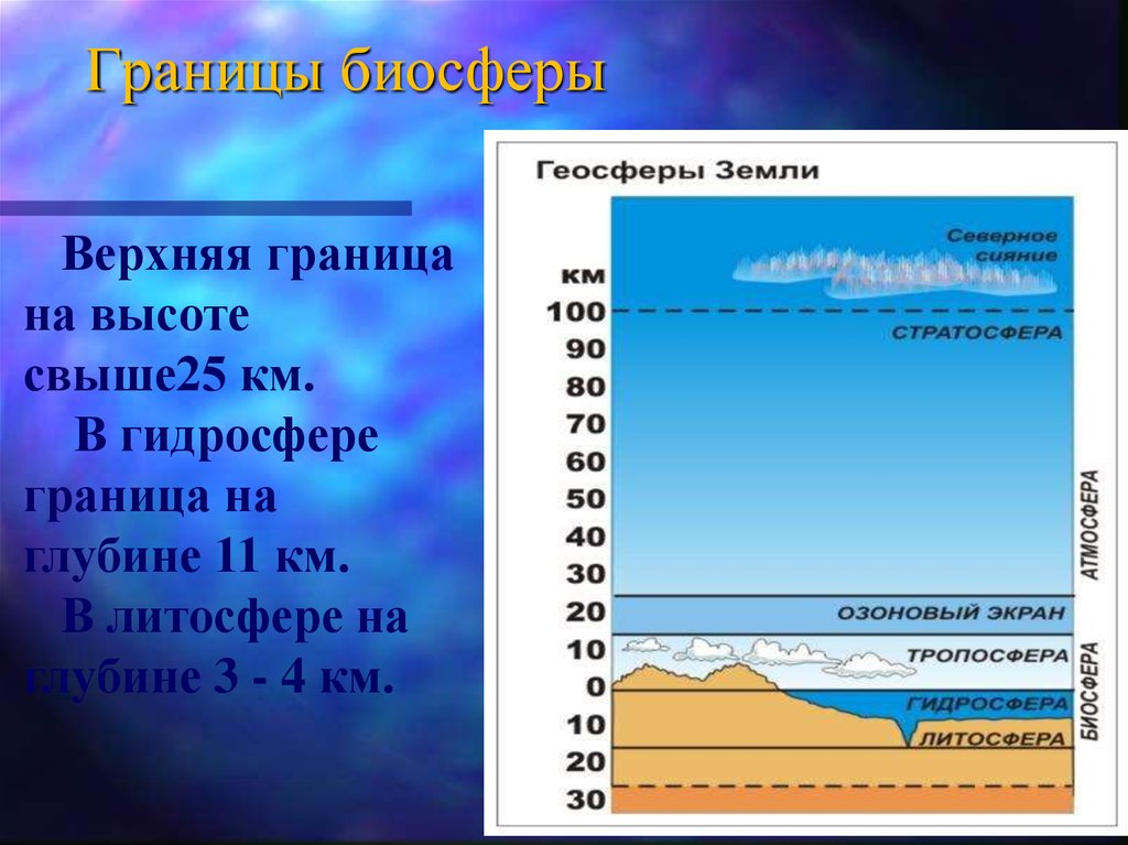 Граница биосферы в атмосфере находится. Границы биосферы в гидросфере. Верхняя граница биосферы. Границы биосферы в пределах гидросферы. Верхняя граница биосферы на высоте.