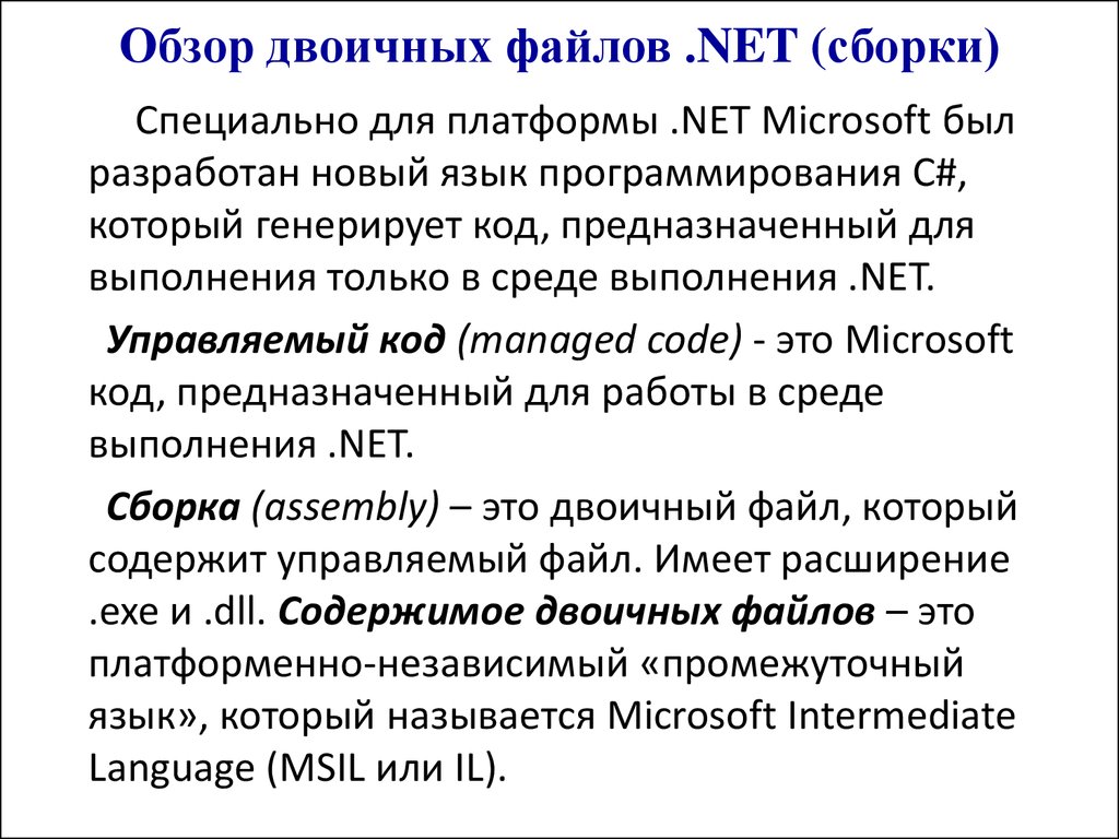 Net имя. Двоичный файл. Бинарный файл. Как выглядит двоичный файл. Двоичный файл расширение.