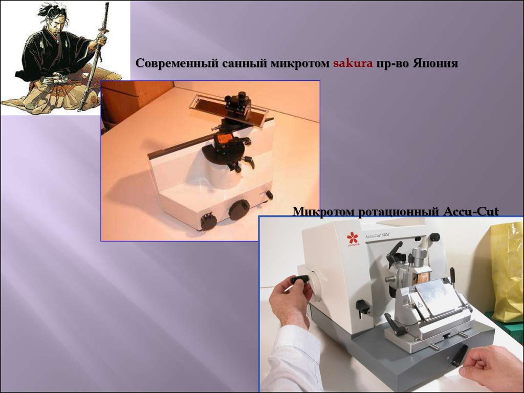 Санный микротом рисунок