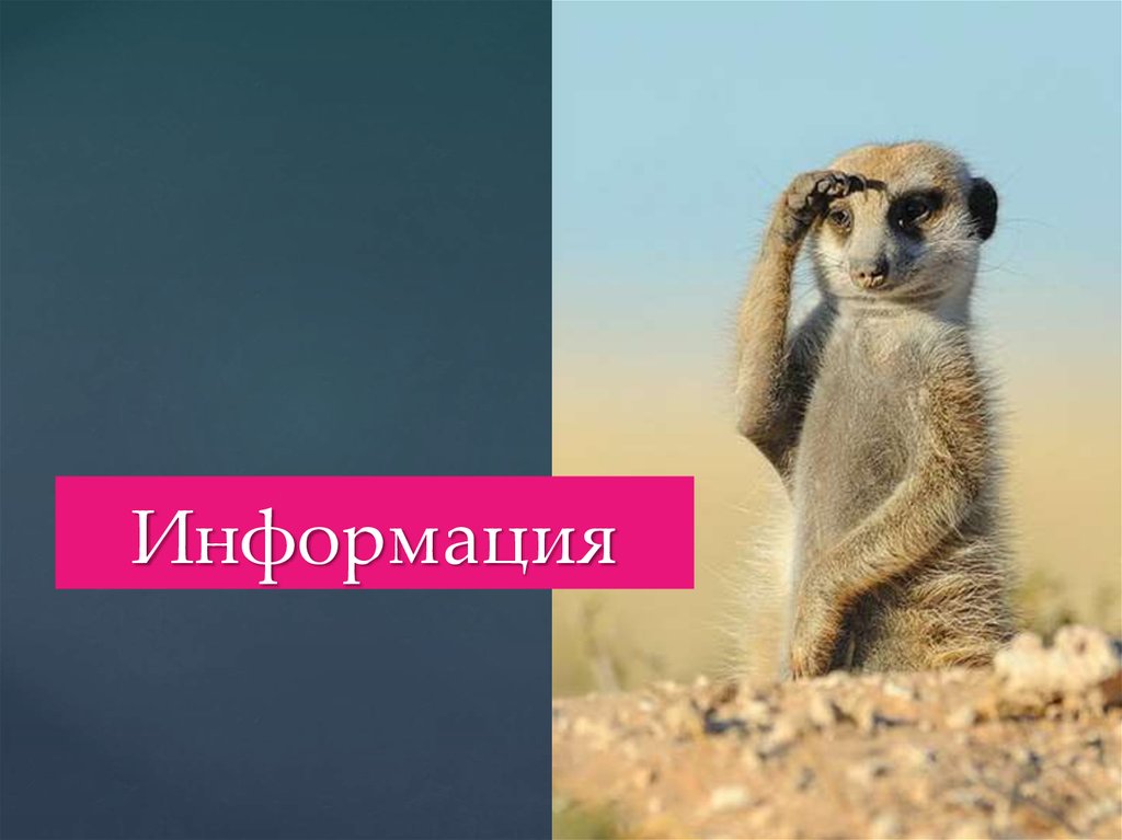 Информация
