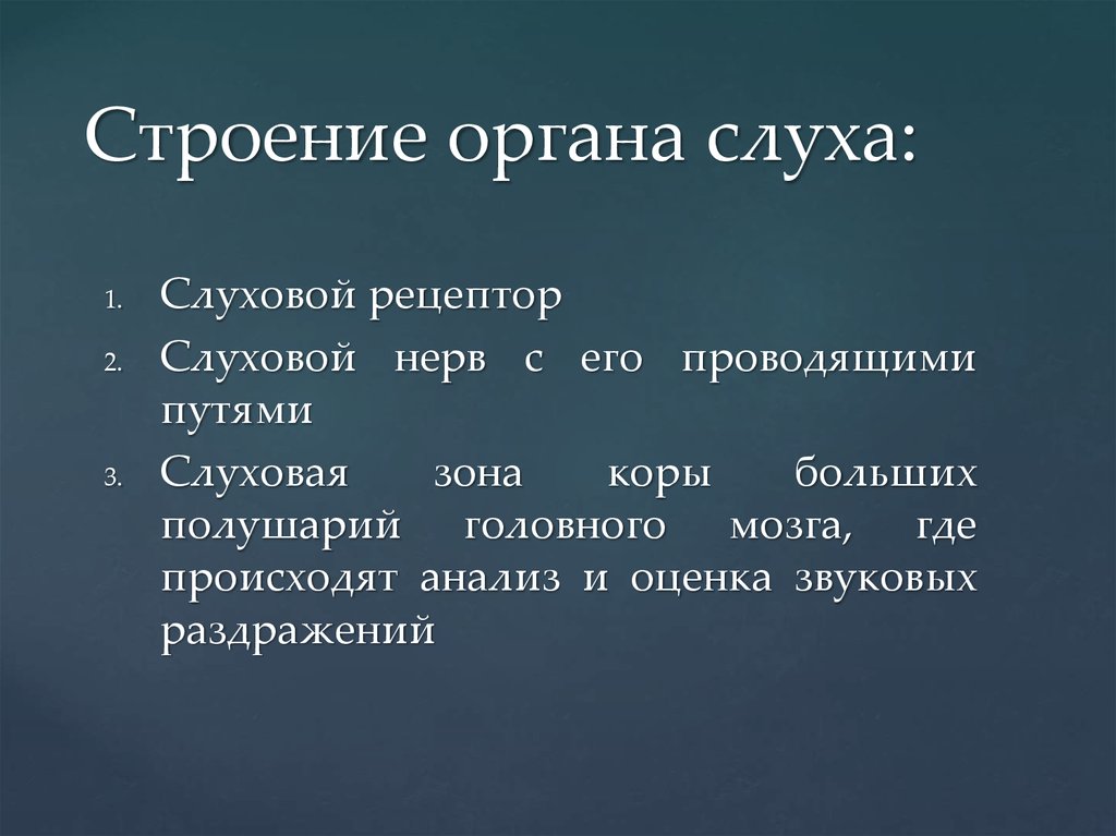 Строение органа слуха: