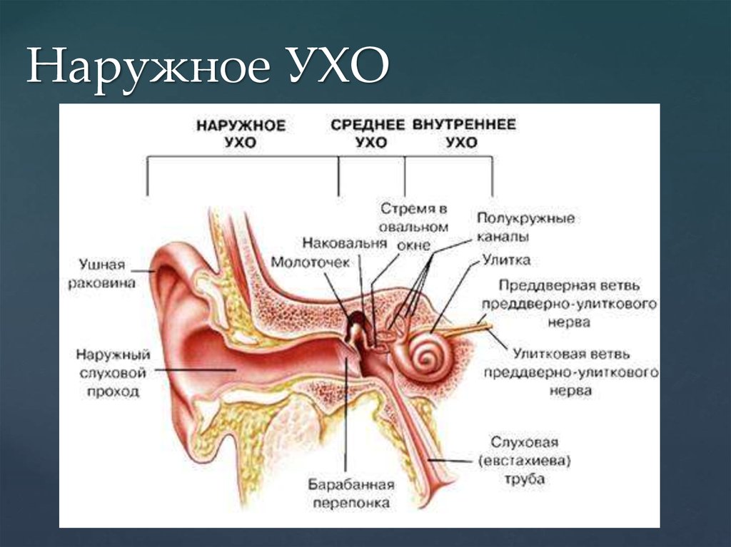 Наружное УХО