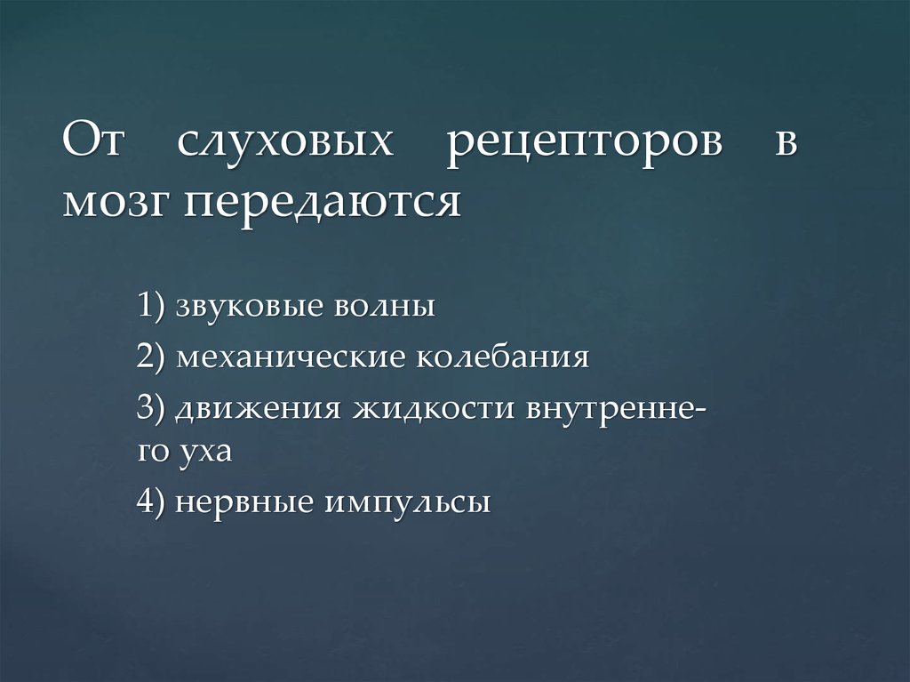 От слу­хо­вых ре­цеп­то­ров в мозг пе­ре­да­ют­ся