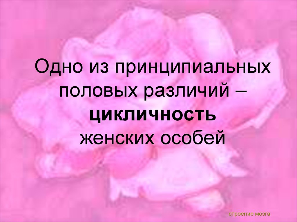 Женских особей. Иждивенческая особь женского пола. Женский пол синоним. Особи женского пола делятся на такие.