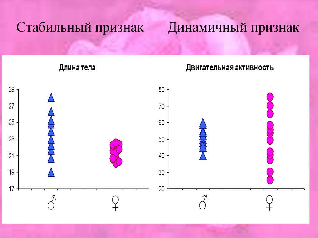 Женских особей. Цикличность поведения. Стабильные признаки.