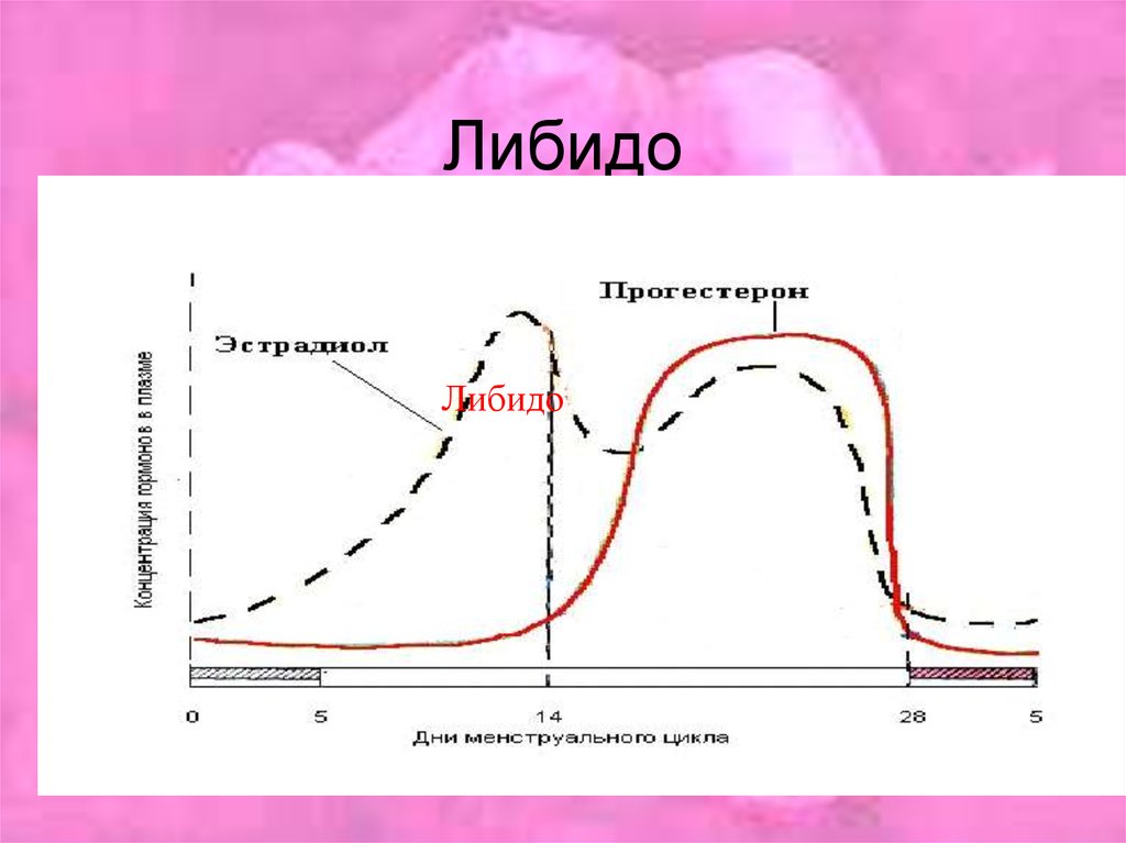 Возраст половой активности. Либидо и Возраст. Либидо и цикл. Либидо и цикл у женщин. Цикличность моды.