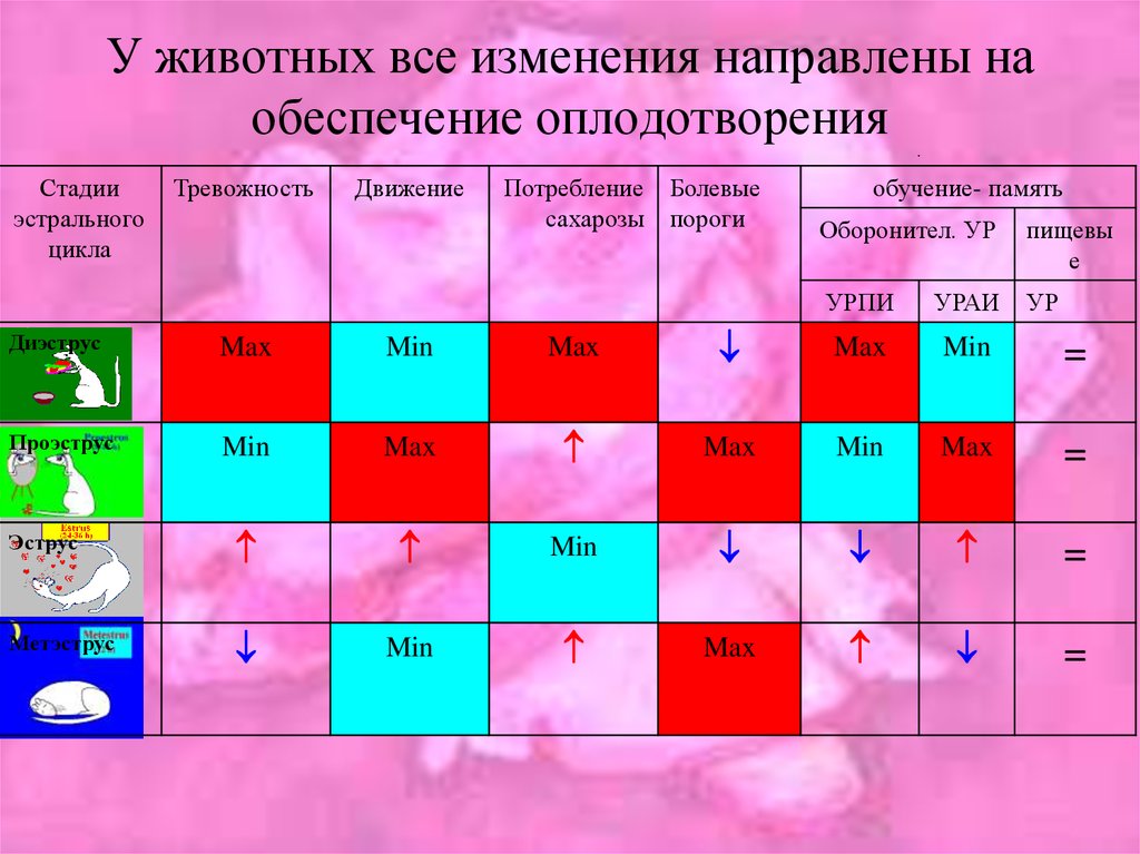 План по оплодотворению всех девушек на русском